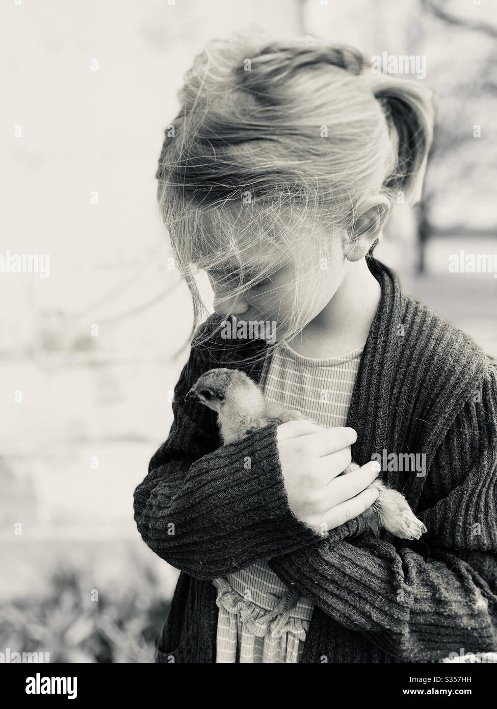 Girlholding baby chick - Smartphone Captured Stock Image