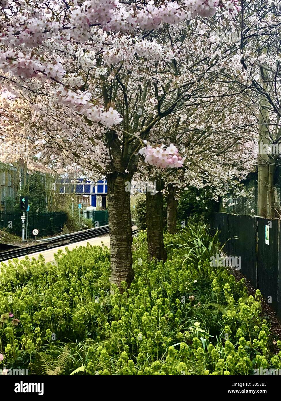 Springtime in Kew Stock Photo
