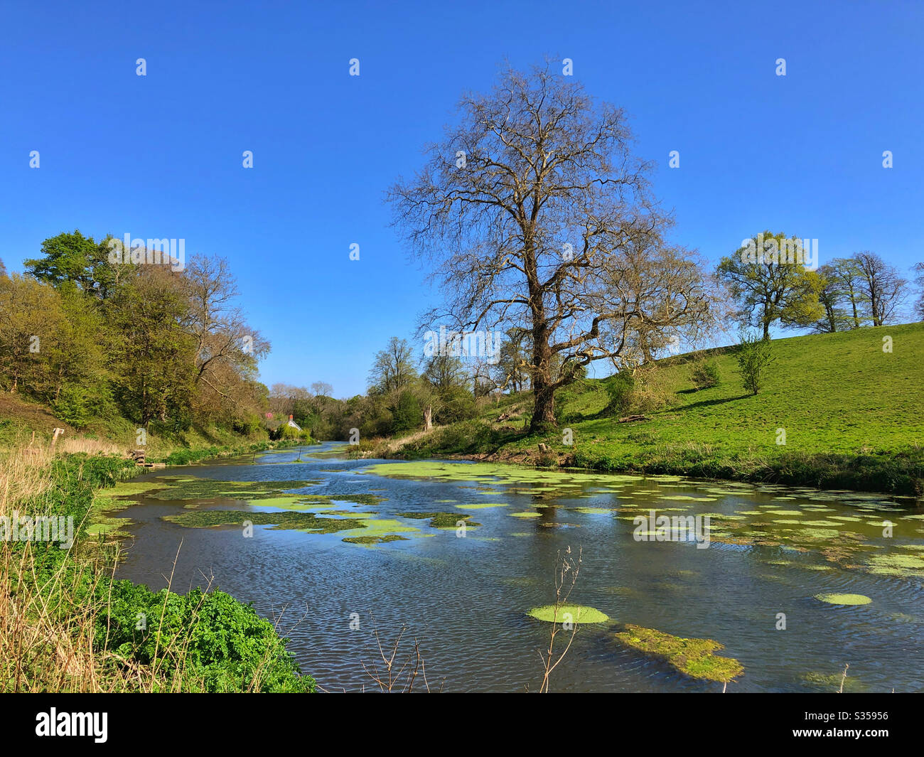 Seven Lakes or the Salmon Leaps at Michaelston le pit, Vale of Glamorgan, South Wales, April, just before Wrinstone Brook joins Bullcroft Brook to become the Cadoxton river. Stock Photo