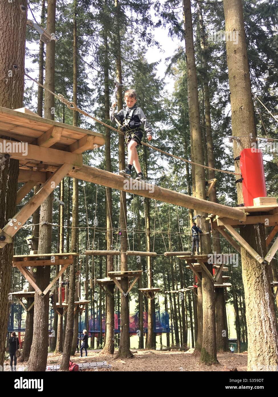 Tree top ropes - Smartphone Captured Stock Image