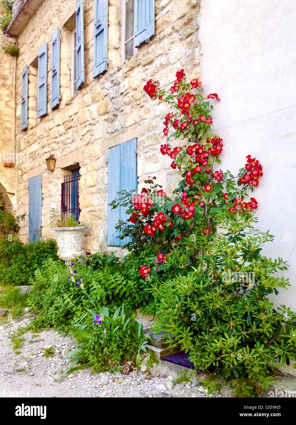 A quaint  scene in Oppède-de-Le-Vieux, France with red flowers growing on a wall and blue shuttered windows. - Smartphone Captured Stock Image