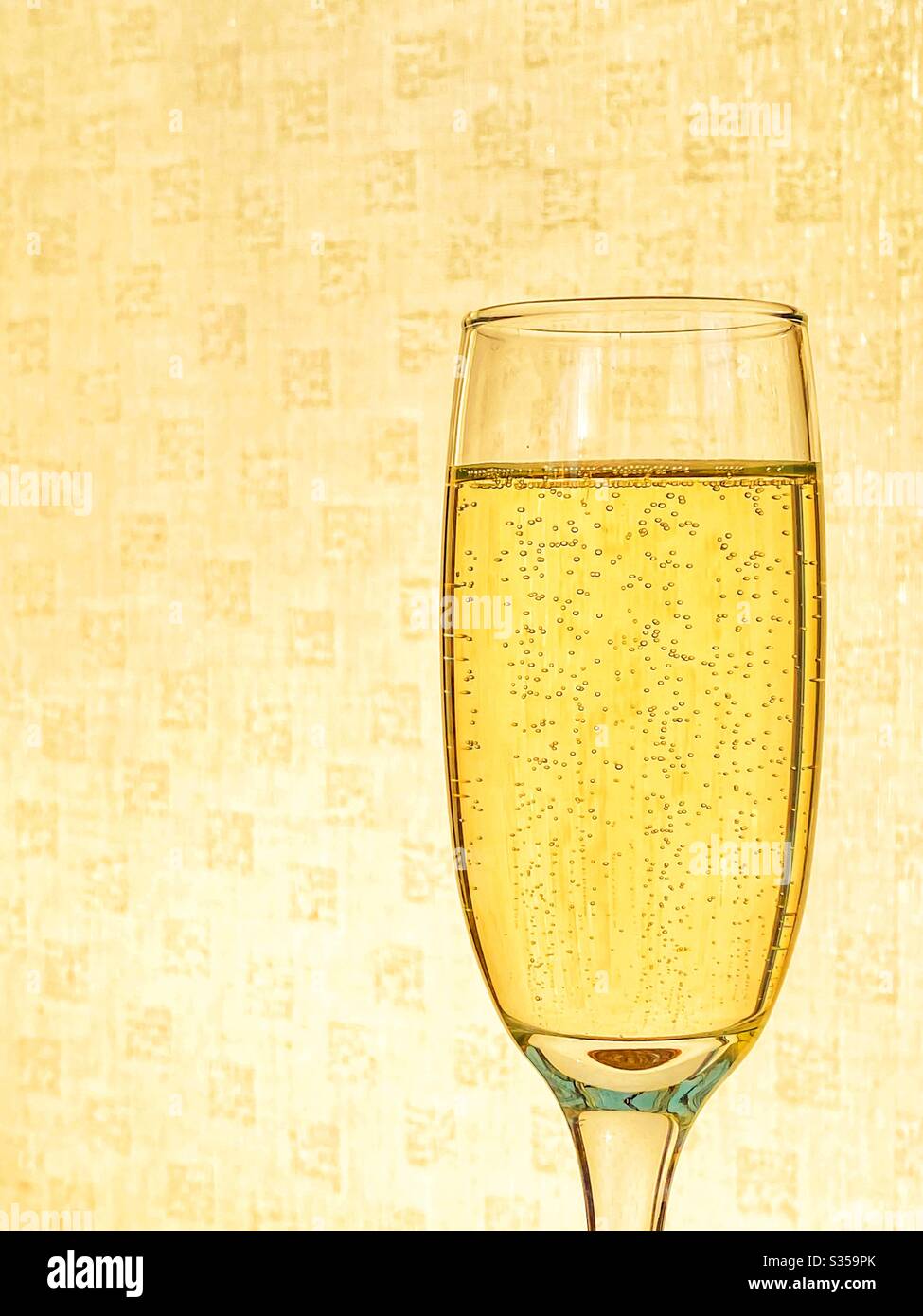Flute glass of champagne against a plain background backlit by sunlight Stock Photo