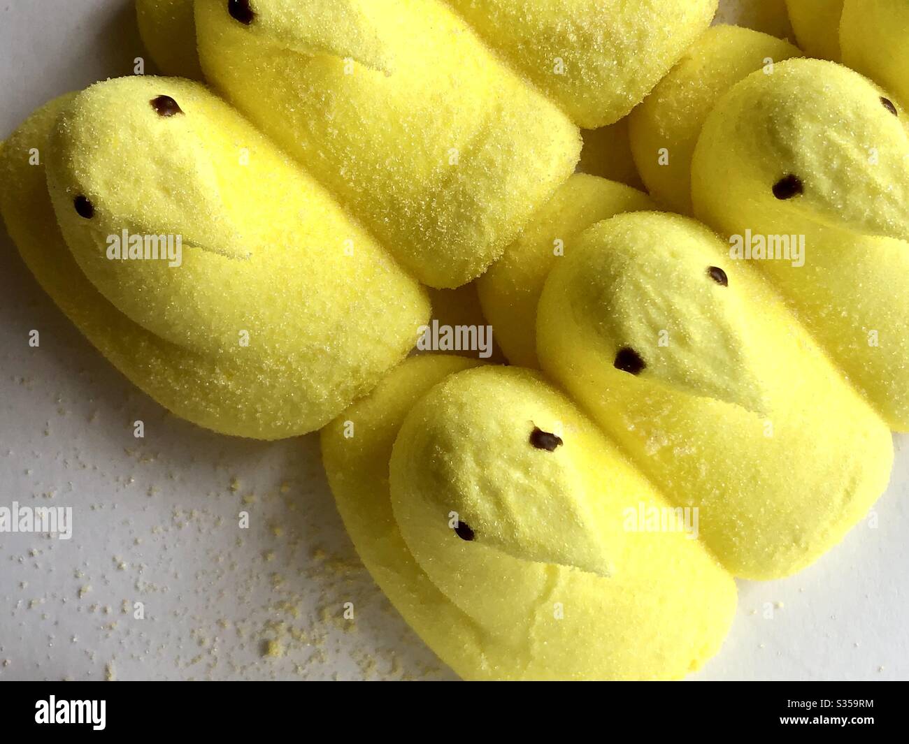 Yellow peeps - Smartphone Captured Stock Image