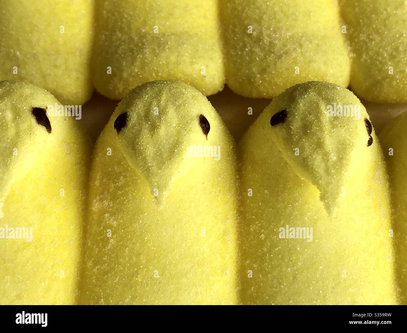Peeps - Smartphone Captured Stock Image
