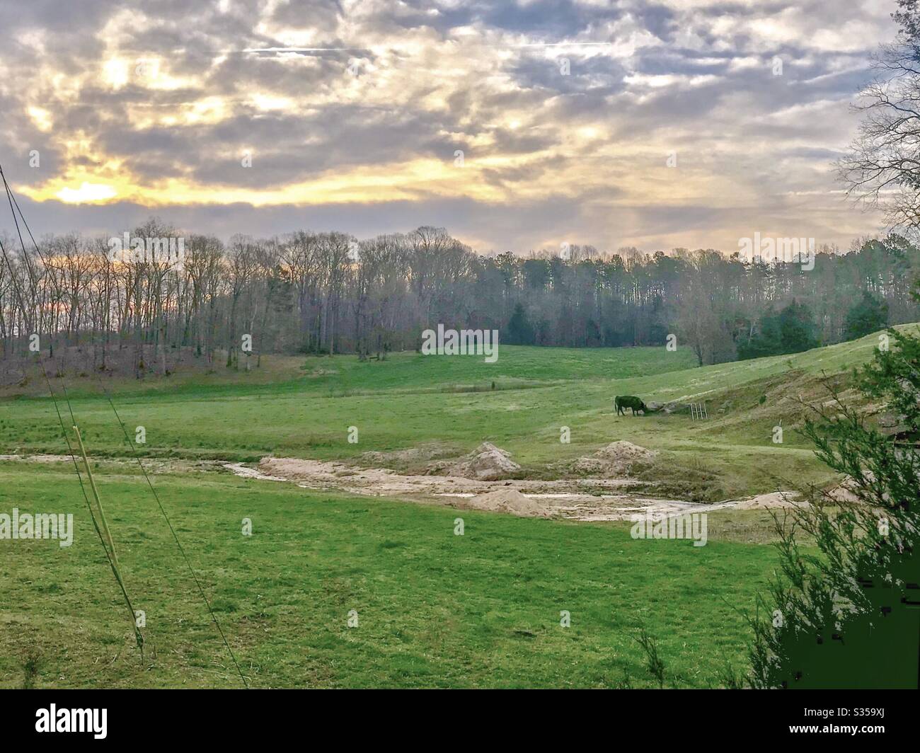 Sunset over North Carolina pasture in spring - Smartphone Captured Stock Image