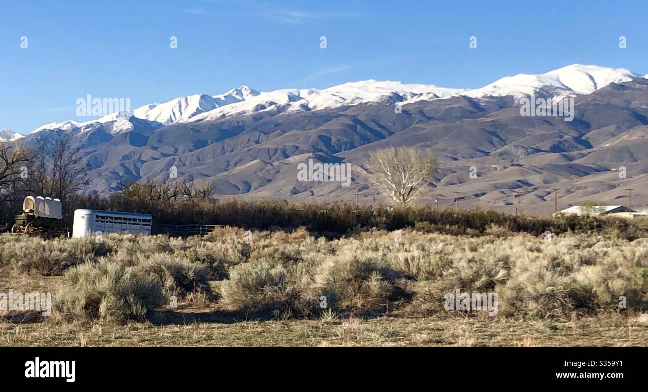 Whites from Airport, California, USA Stock Photo Alamy