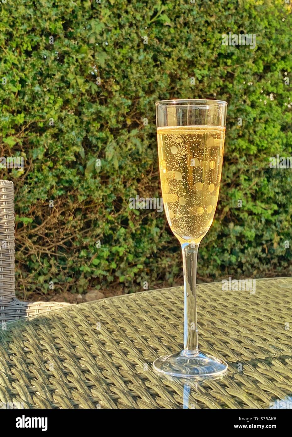 Flute glass of champagne on the glass table top of garden furniture on a summer evening Stock Photo