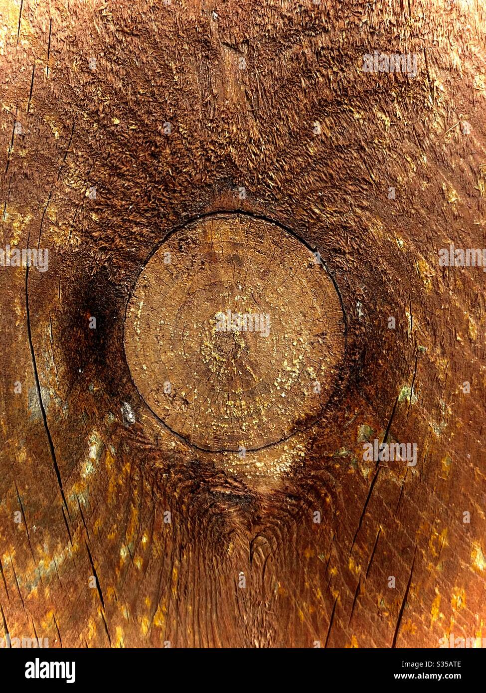 Artsy photo of a circular knot in wood. Stock Photo
