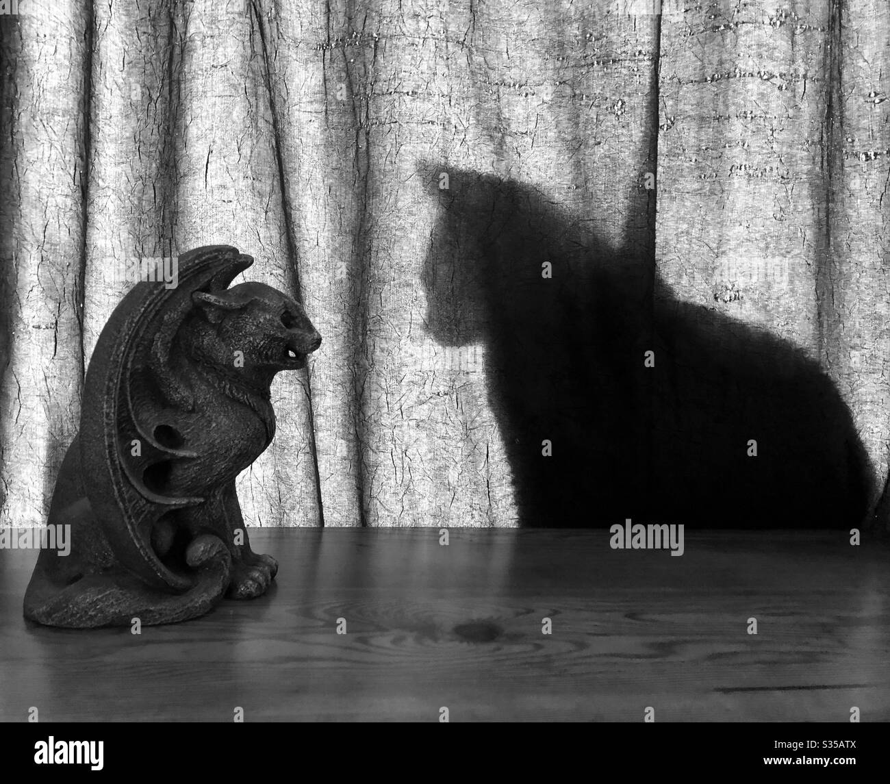 My cat channeling her inner devil - Smartphone Captured Stock Image