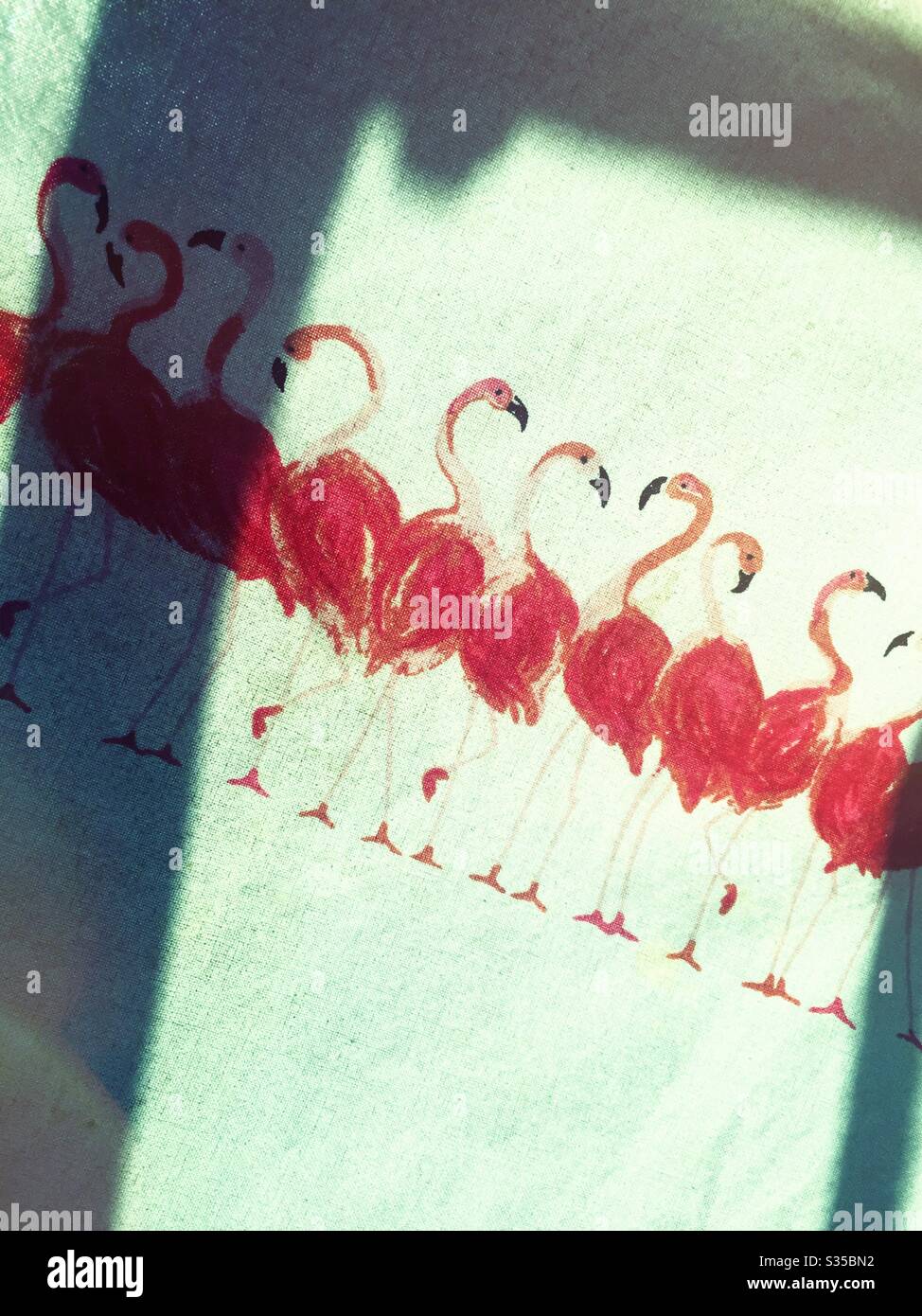 A festive cloth apron with pink flamingo pattern, USA - Smartphone Captured Stock Image