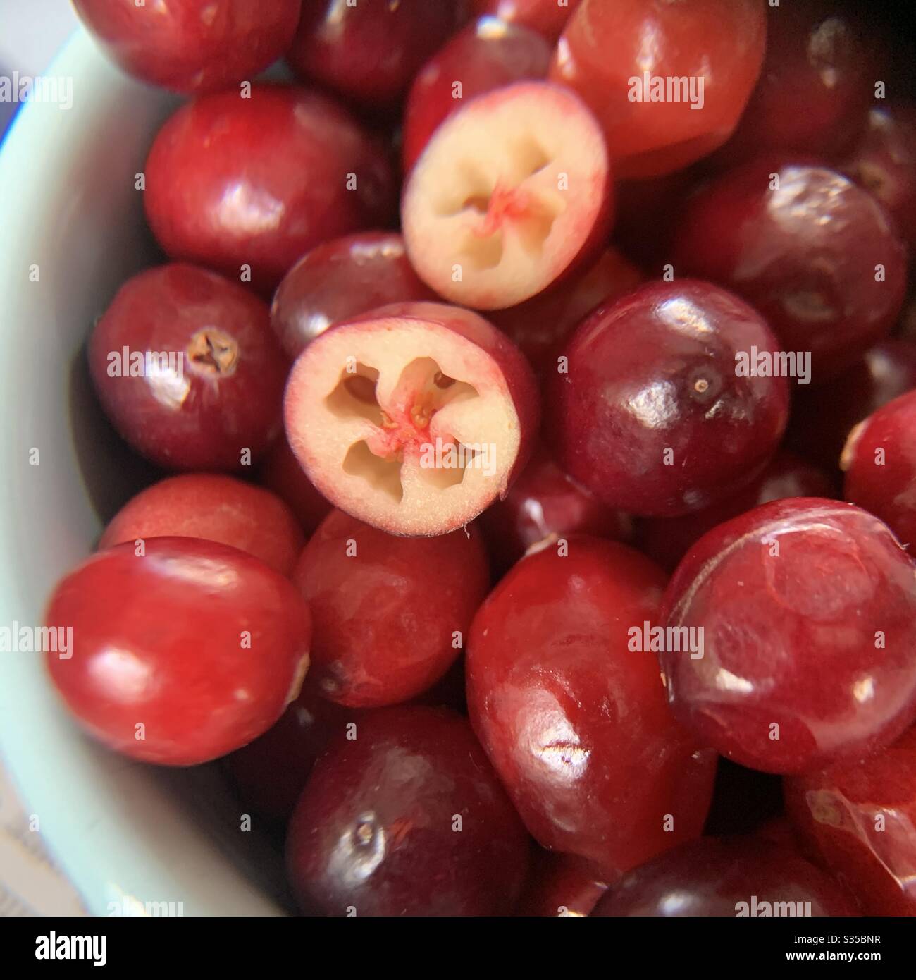 Cranberries in bowl - Smartphone Captured Stock Image