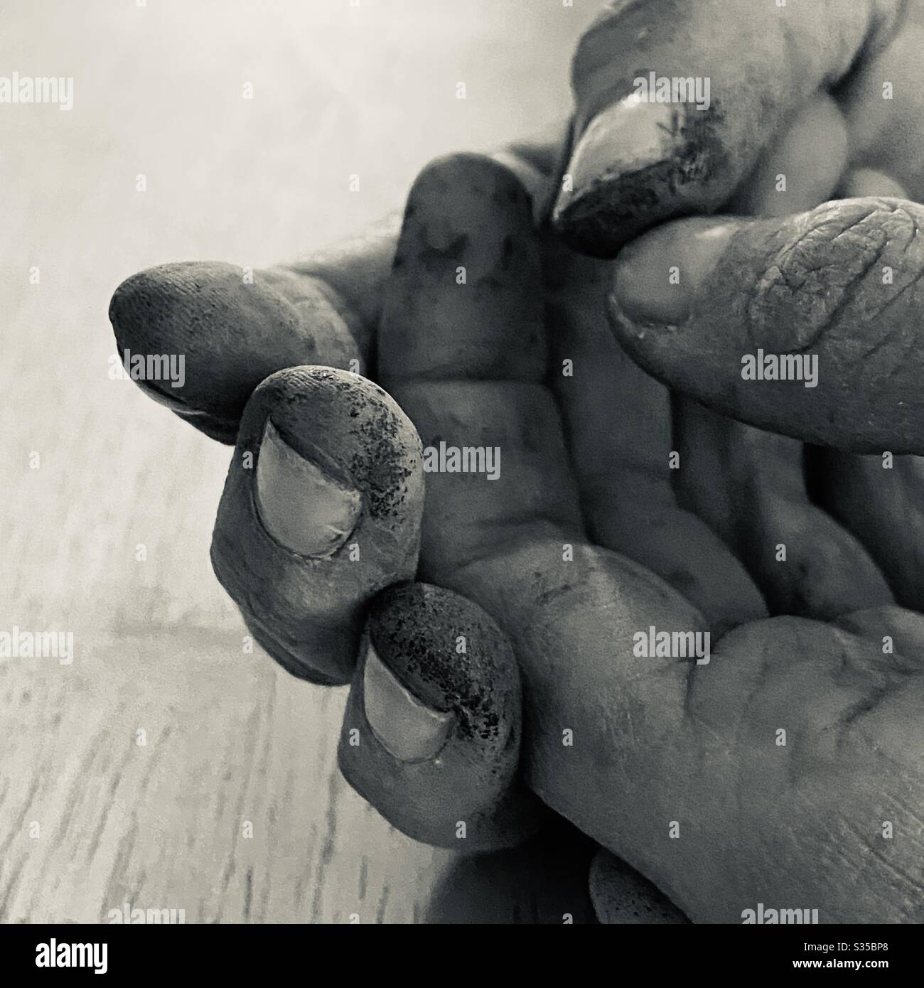 A black and white image of a females dirty hands after gardening, clasped and resting on a table. Stock Photo