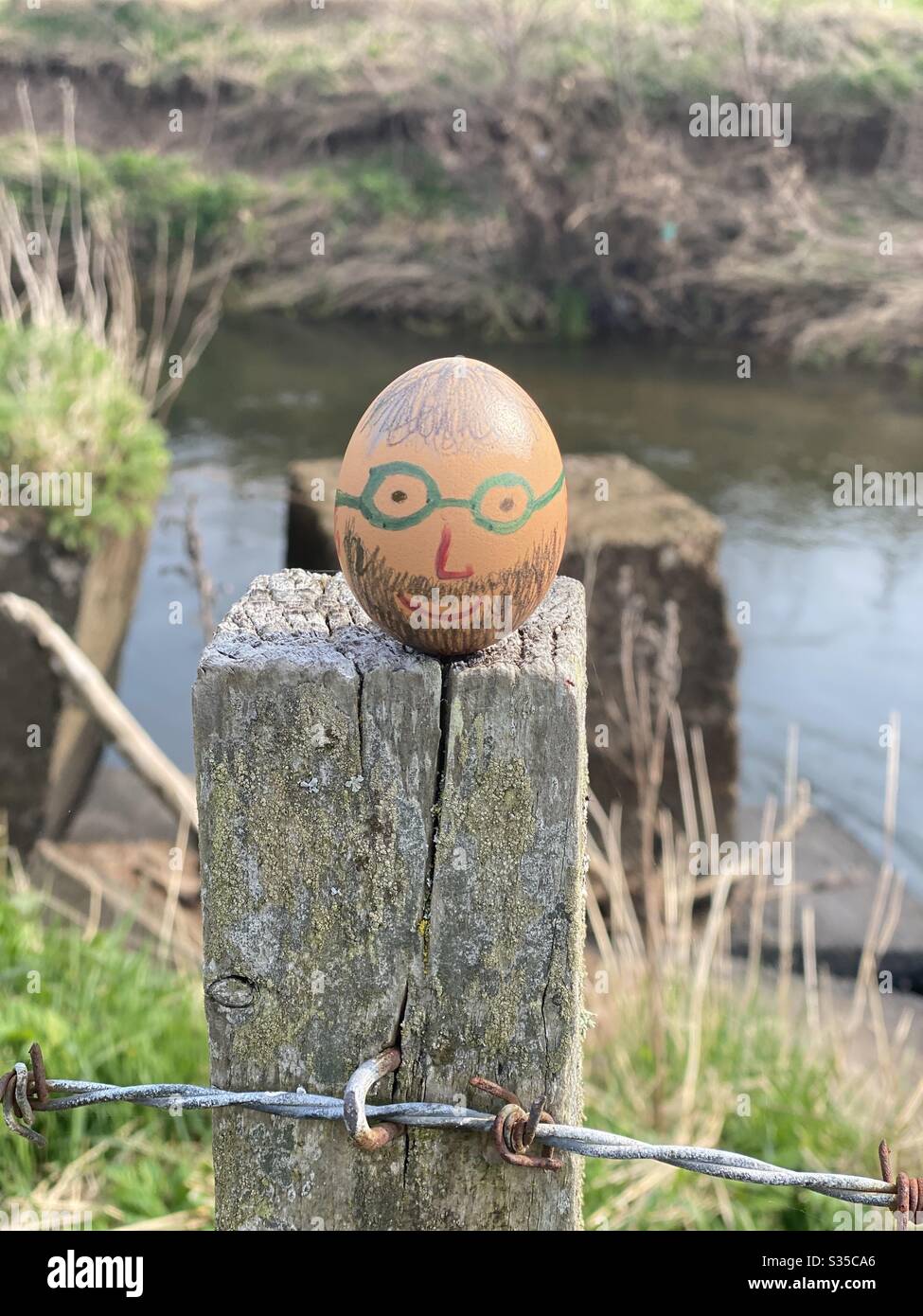Egg head Easter Time Stock Photo