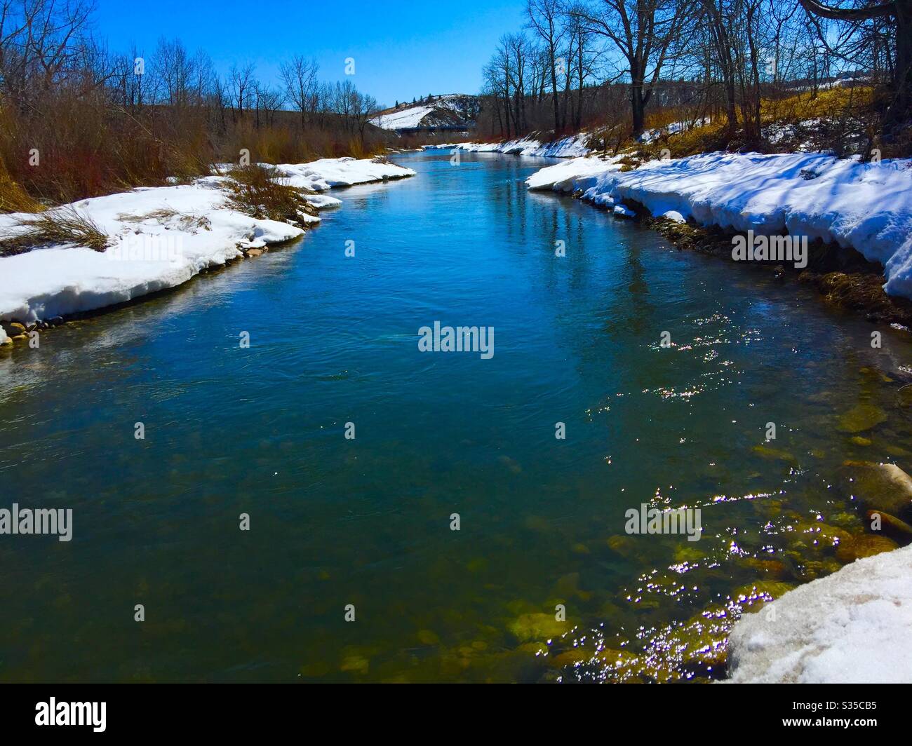 Hill Spring Creek, Matt Kroll Park, Cochrane, Alberta Stock Photo