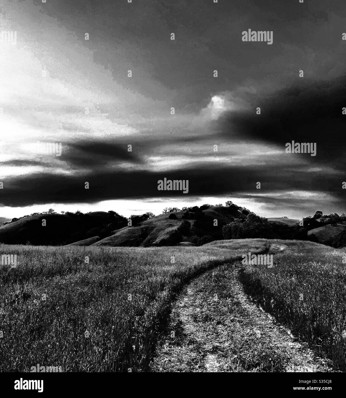 Through the meadow Black and White Stock Photos & Images - Alamy