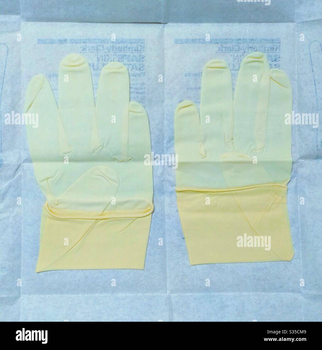 PPE latex exam gloves - Smartphone Captured Stock Image