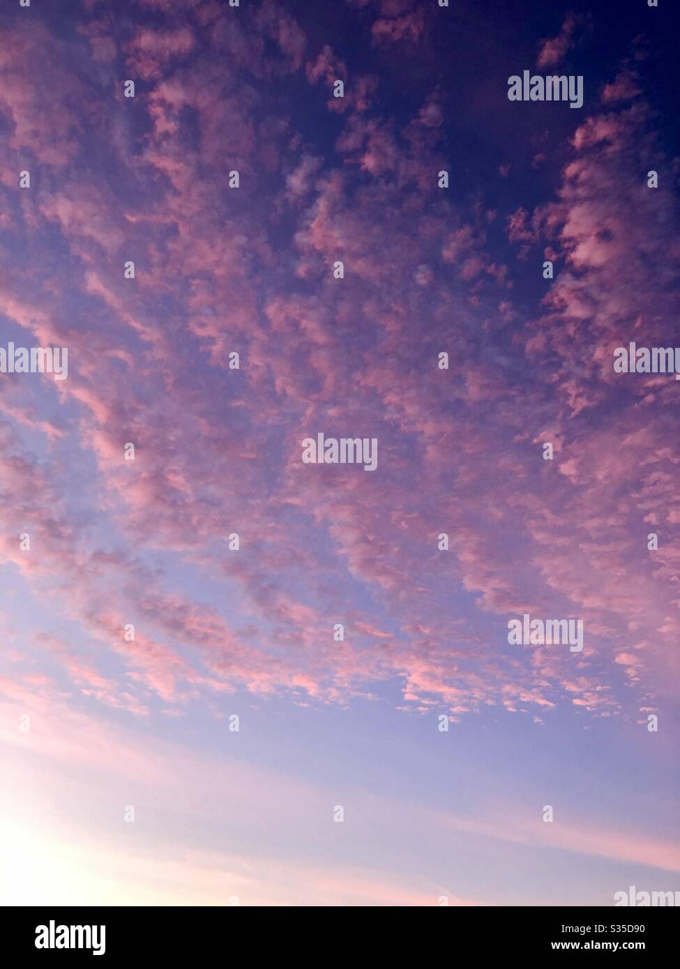 Pink sky Stock Photo