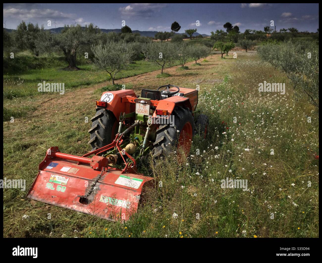 Mulching weeds in an olive grove with a box tiller/rotovator, Catalonia, Spain. - Smartphone Captured Stock Image