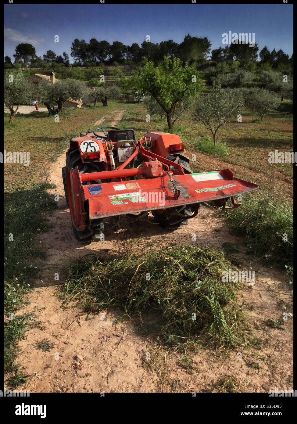 Mulching weeds in an olive grove with a box tiller/rotovator, Catalonia, Spain. - Smartphone Captured Stock Image