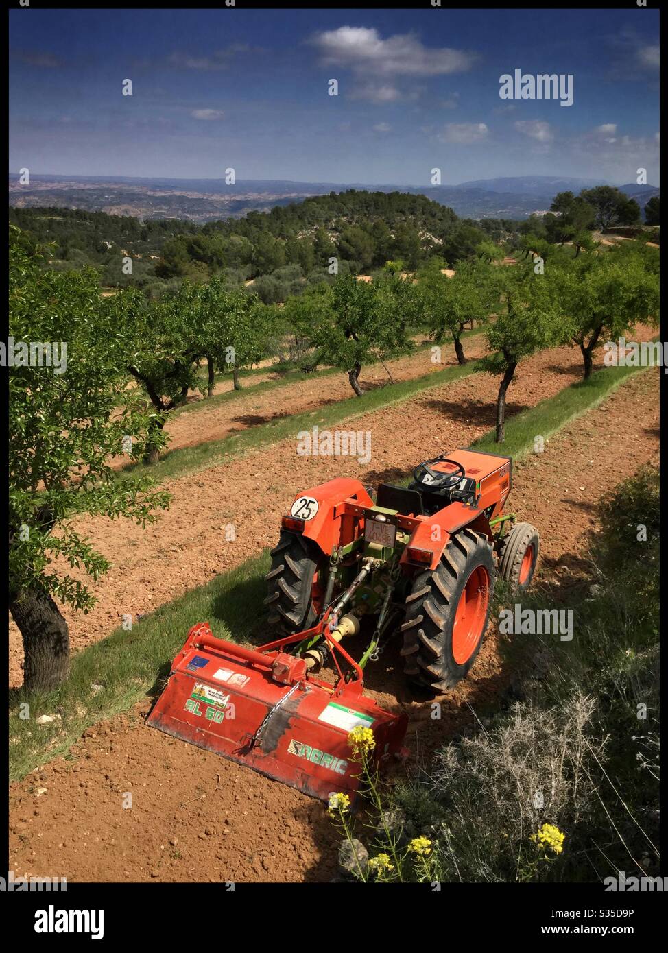 Mulching weeds amongst almond trees with a box tiller/rotovator, Catalonia, Spain. - Smartphone Captured Stock Image