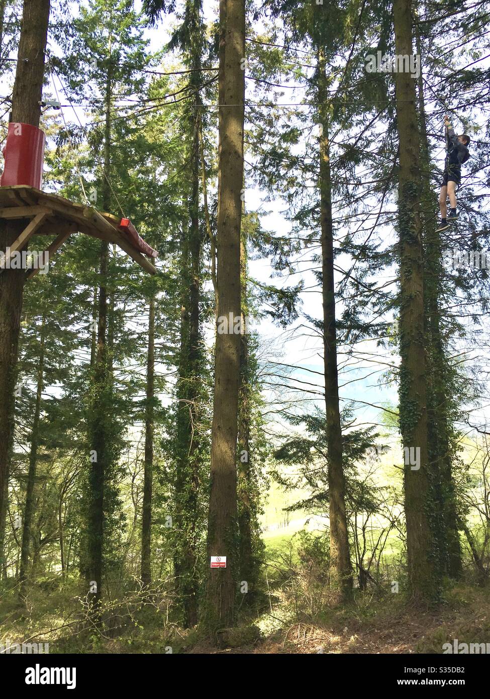 High ropes zip line in woods Stock Photo