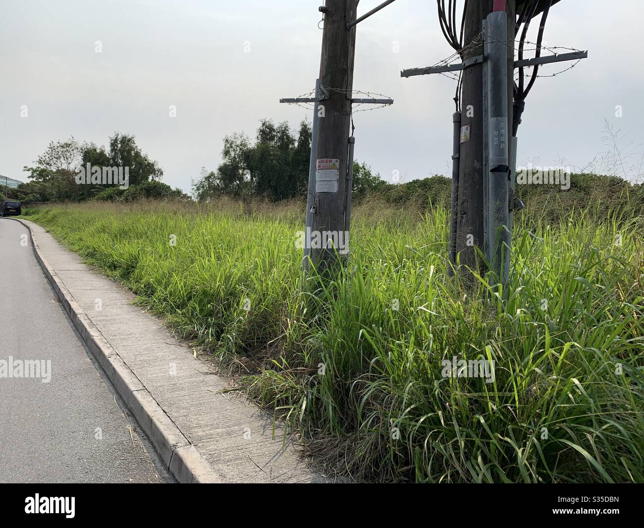 Electric, electrical power, electricity, supply electricity, electric