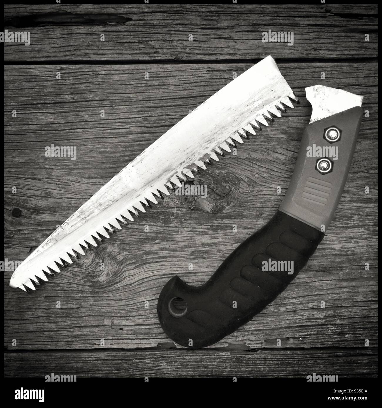 Broken pruning saw, Catalonia, Spain. - Smartphone Captured Stock Image
