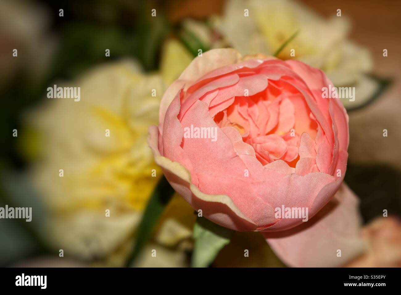 Flower decoration with lens blur Stock Photo