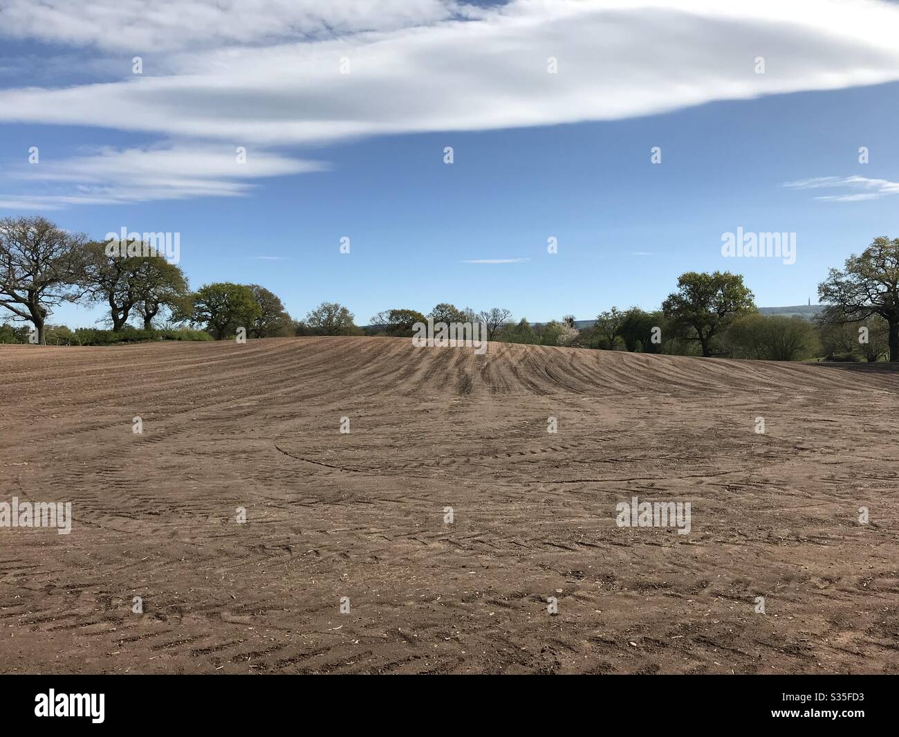 Ploughed field added by trees - Smartphone Captured Stock Image
