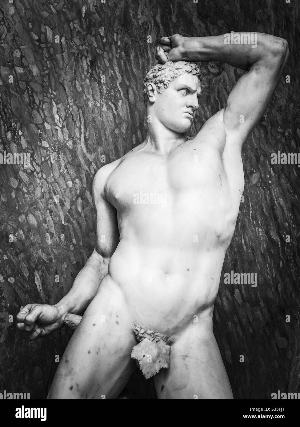 Sculpture in Vatican museum, Rome - Smartphone Captured Stock Image