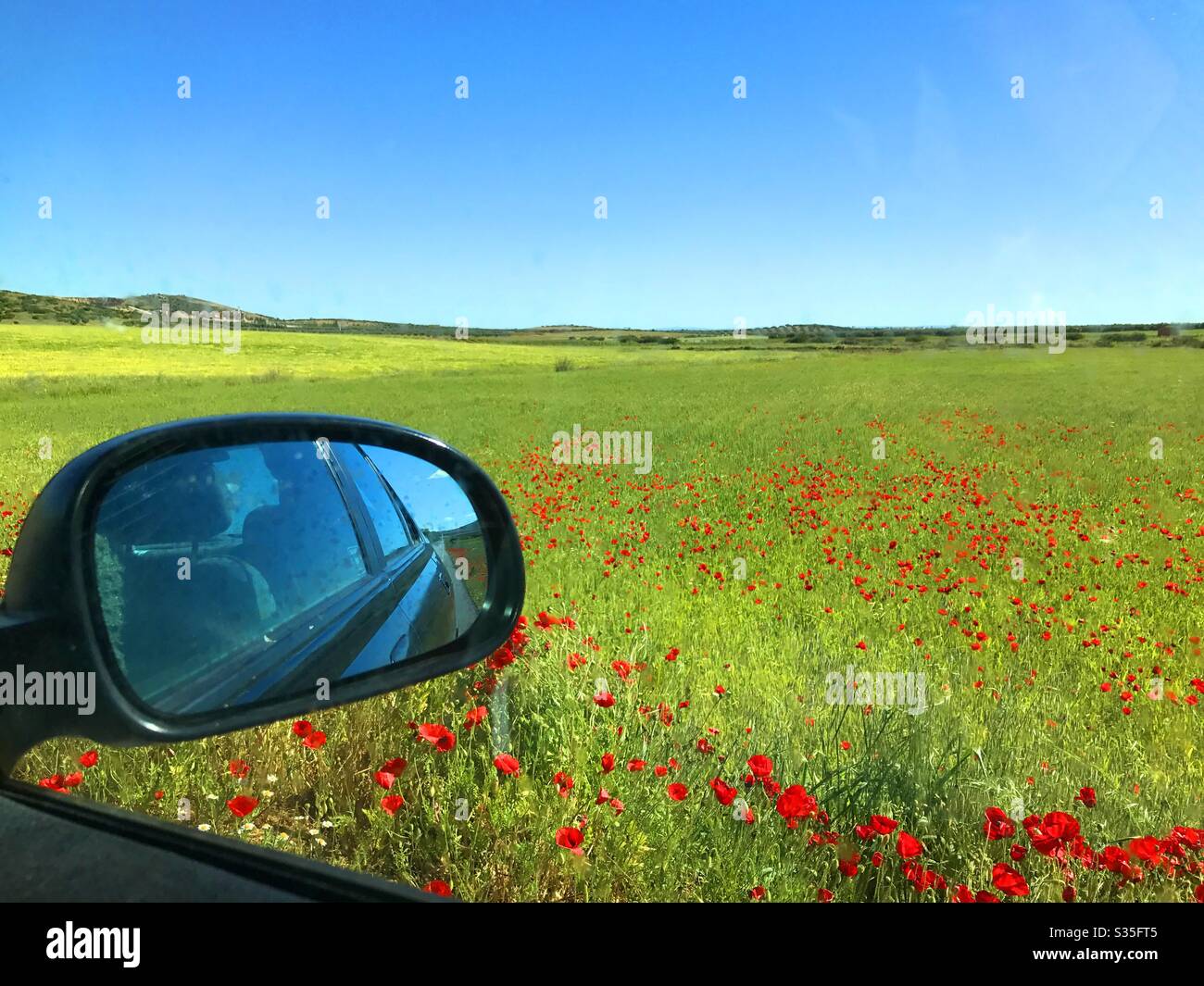 Rear view mirror and spring landscape. - Smartphone Captured Stock Image
