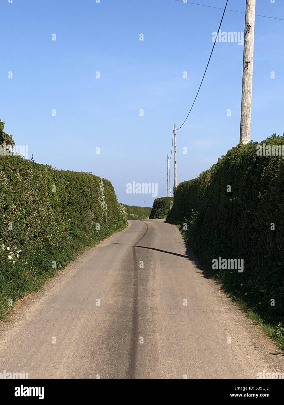 Along a country lane - Smartphone Captured Stock Image