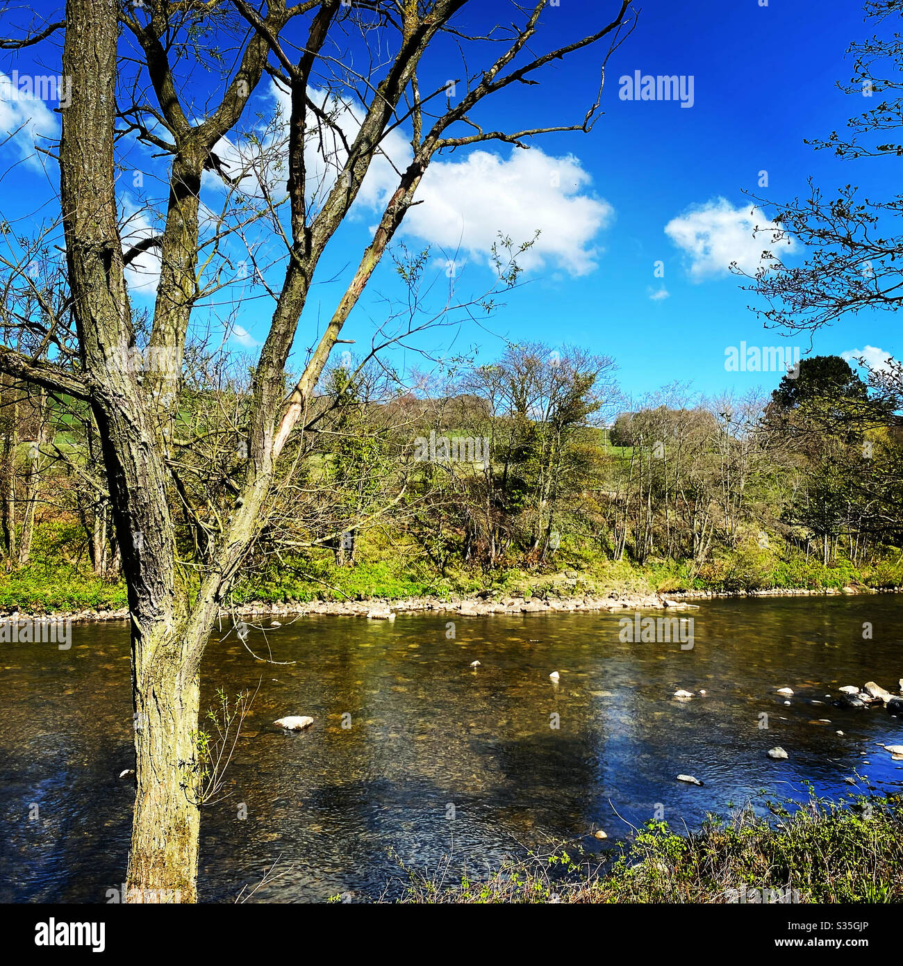 travel - Smartphone Captured Stock Image