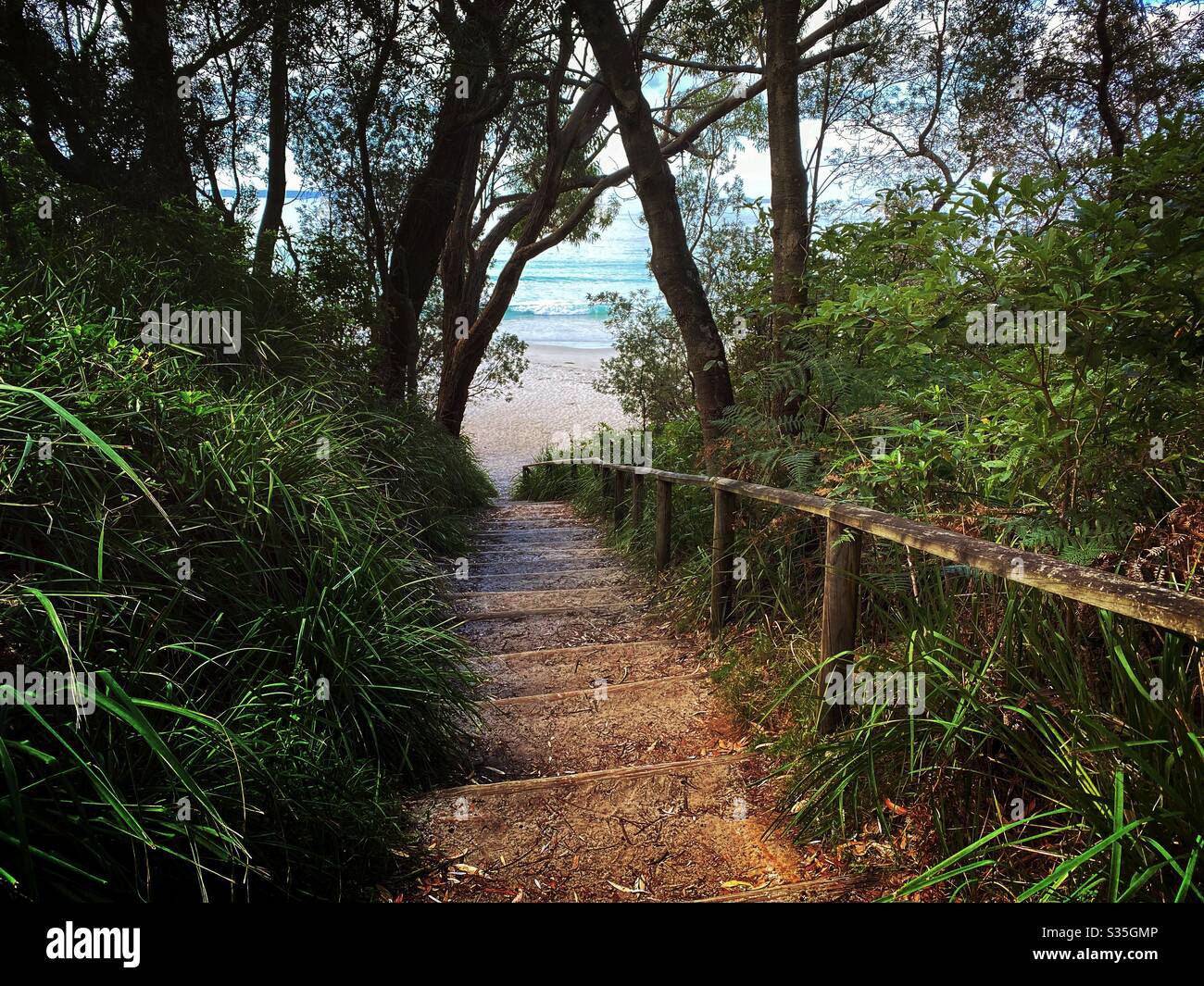 Track leading down to beautiful white sandy beach and crystal clear blue water. Concept of pathway to new beginning, a better place and exploring nature Stock Photo