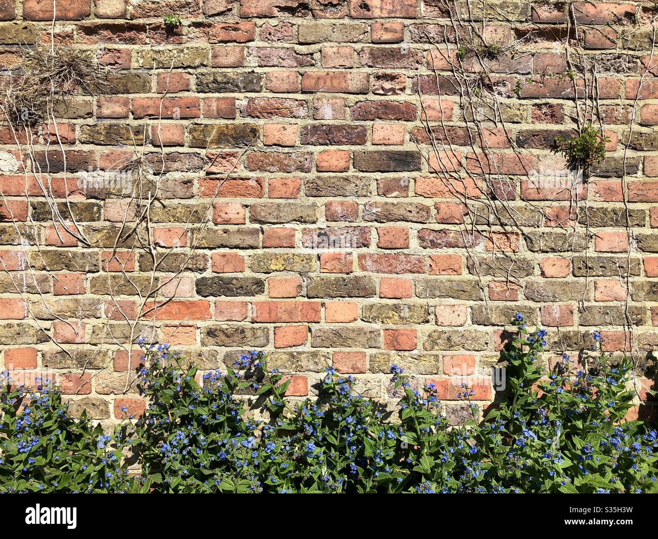 Red Brick Wall Stock Photo