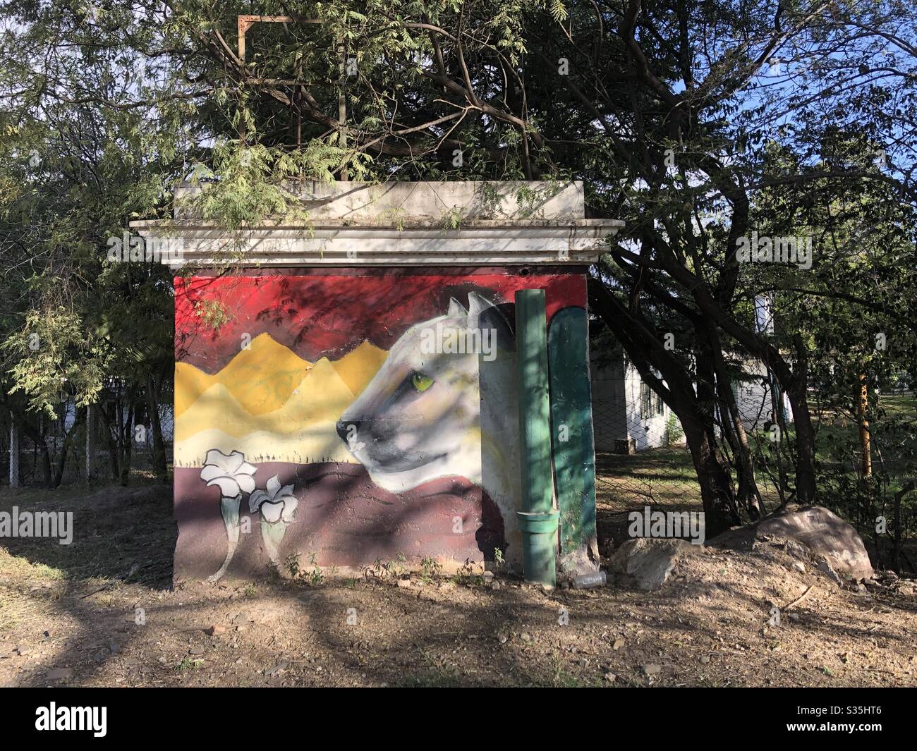 Street art in Mendoza, Argentina. Stock Photo