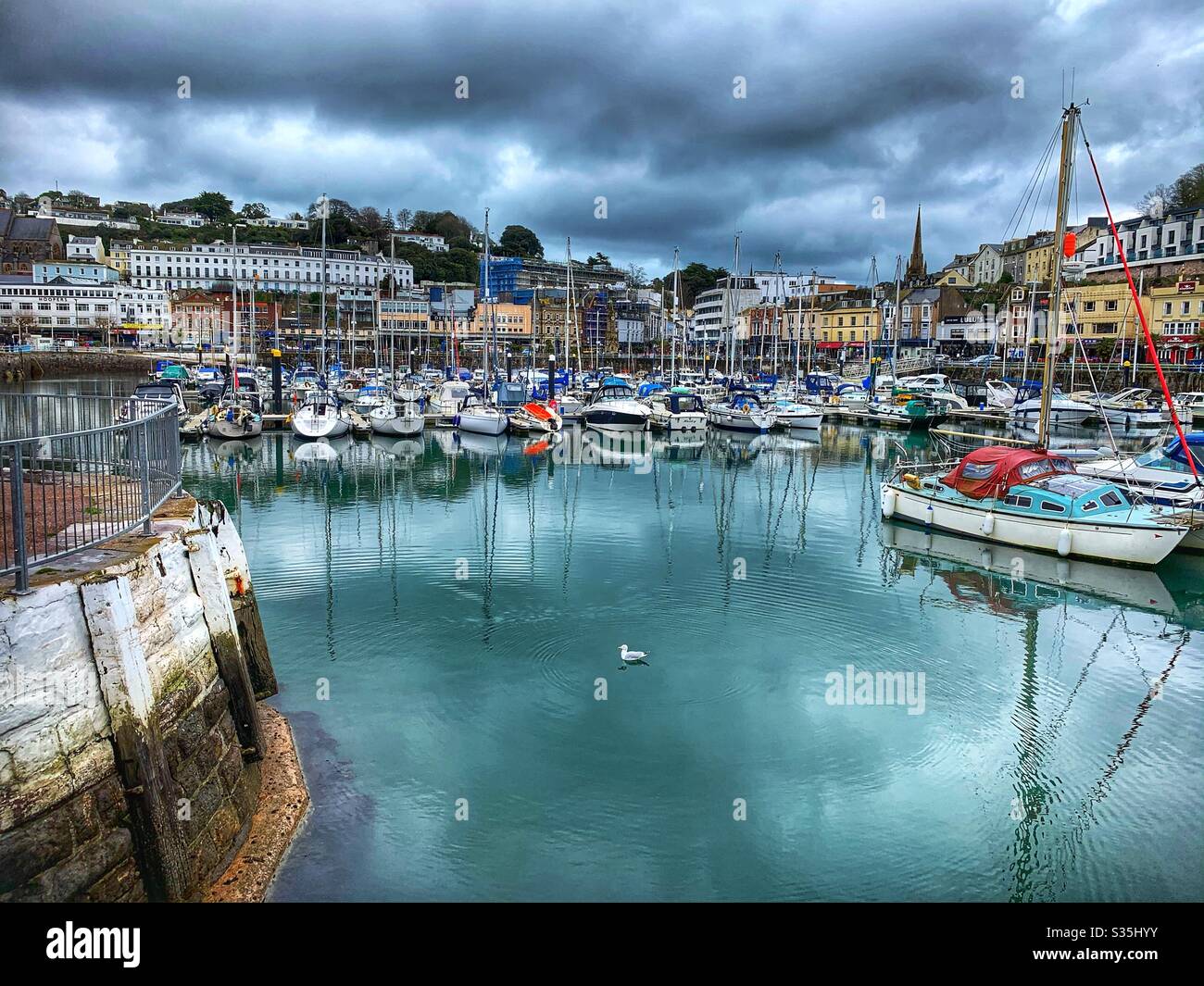 Torquay Harbour on a stormy day with a sea gull in the water, surrounded by boats and buildings. Stock Photo