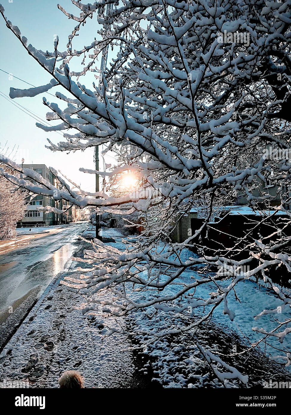 Bright ringing spring morning in the city - Smartphone Captured Stock Image