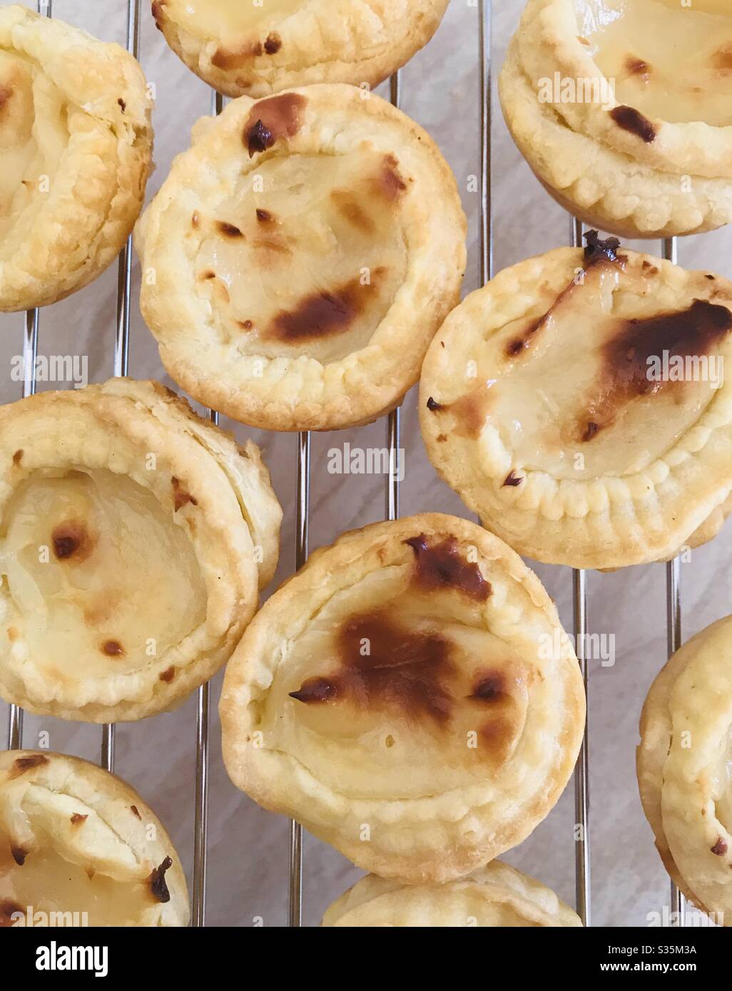 Pastéis de Nata - Smartphone Captured Stock Image