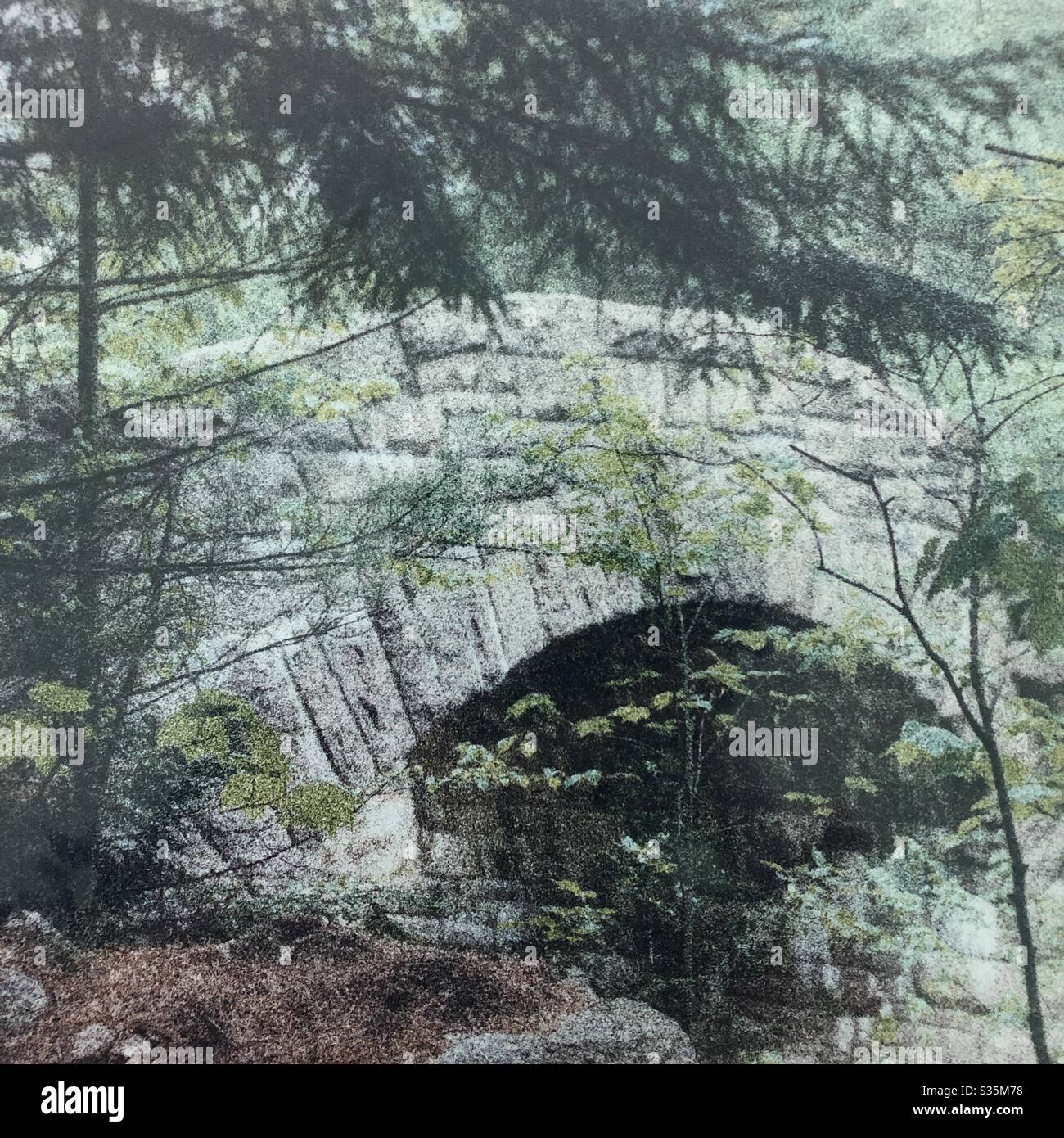 Rural Park impressionist view trees and stone bridge Maine State Park - Smartphone Captured Stock Image