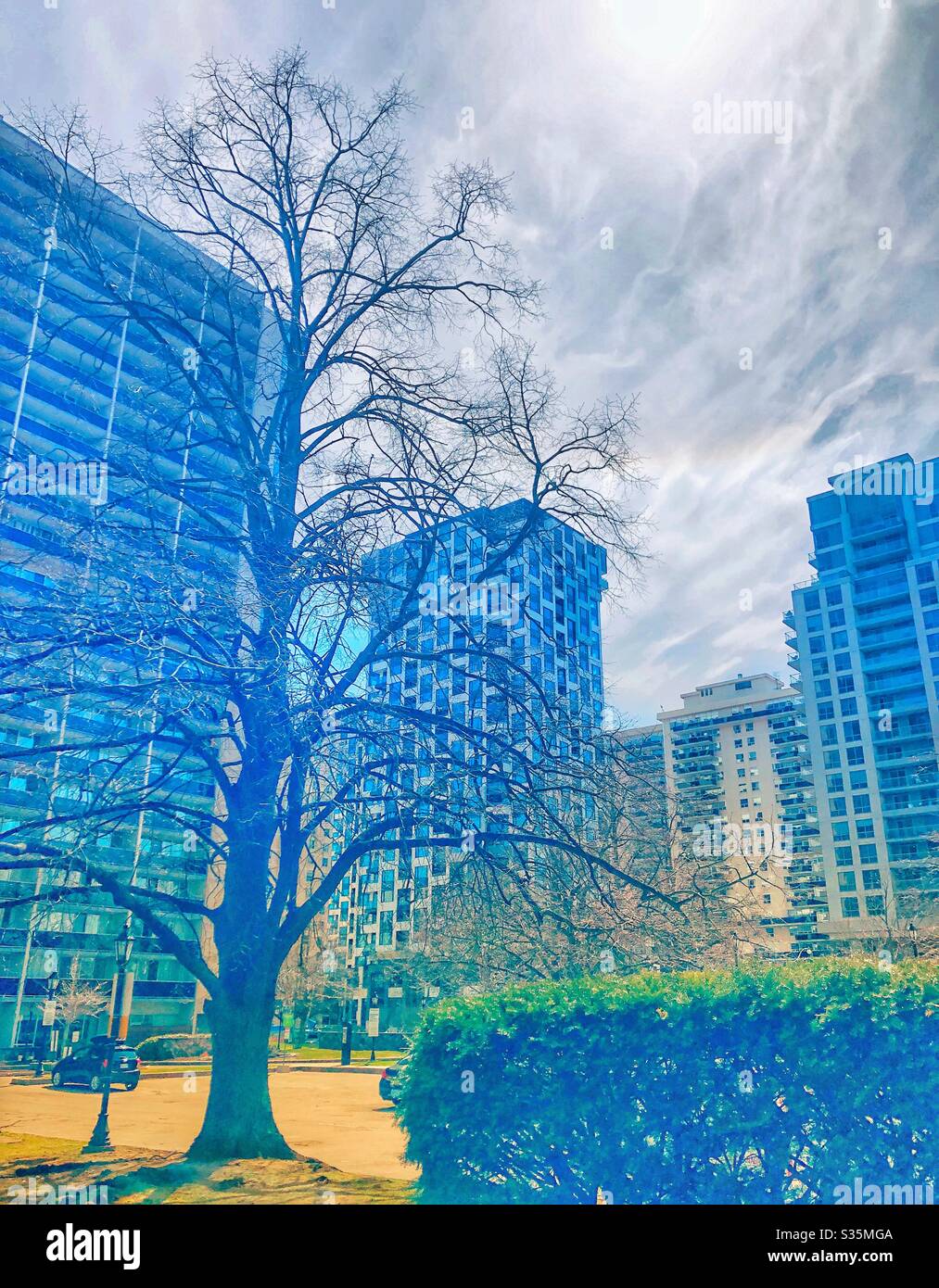 A Toronto residential neighbourhood. - Smartphone Captured Stock Image