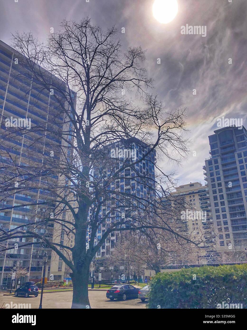 A Toronto residential neighbourhood. - Smartphone Captured Stock Image