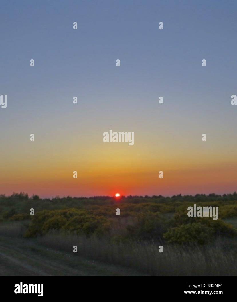 Sunset walks - Smartphone Captured Stock Image