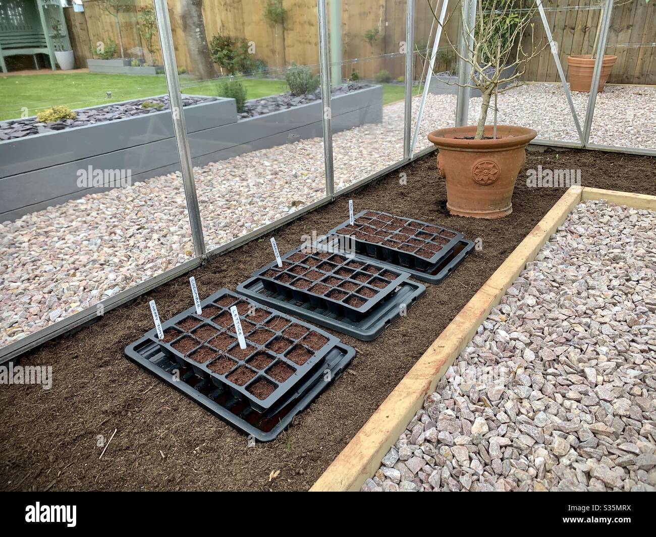 Planting seeds in the greenhouse Stock Photo - Alamy