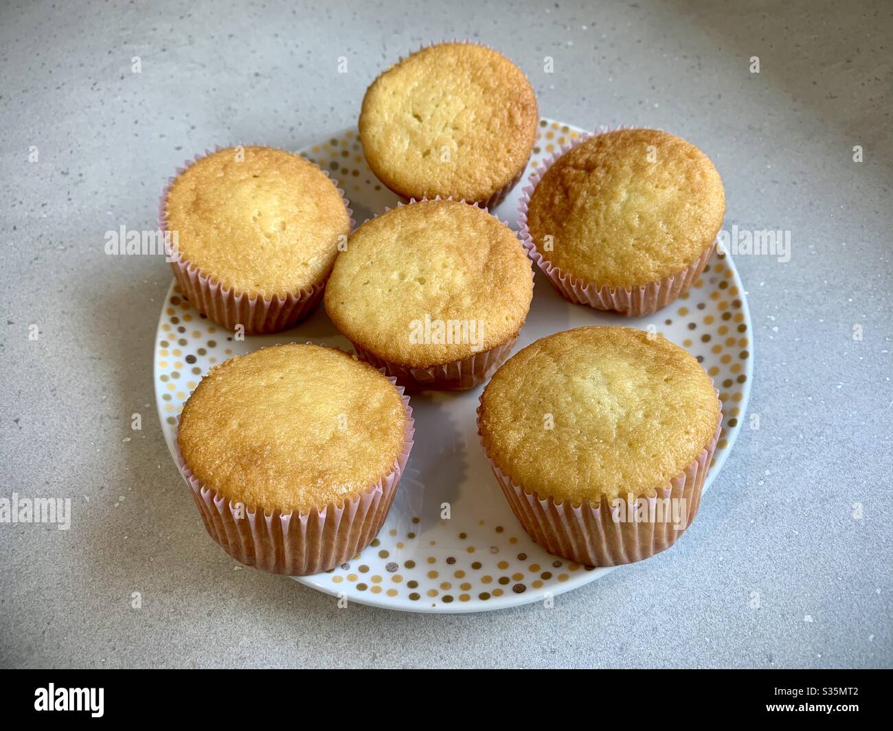 A plate of six home made cup cake sponges - Smartphone Captured Stock Image