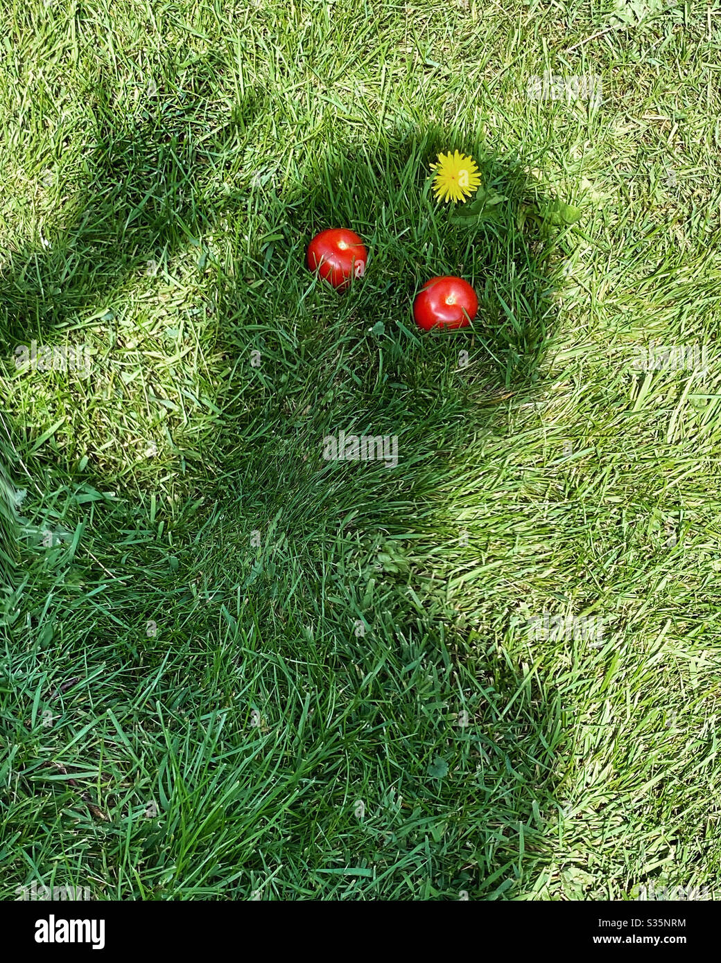 Hello! Someone there?! - Smartphone Captured Stock Image