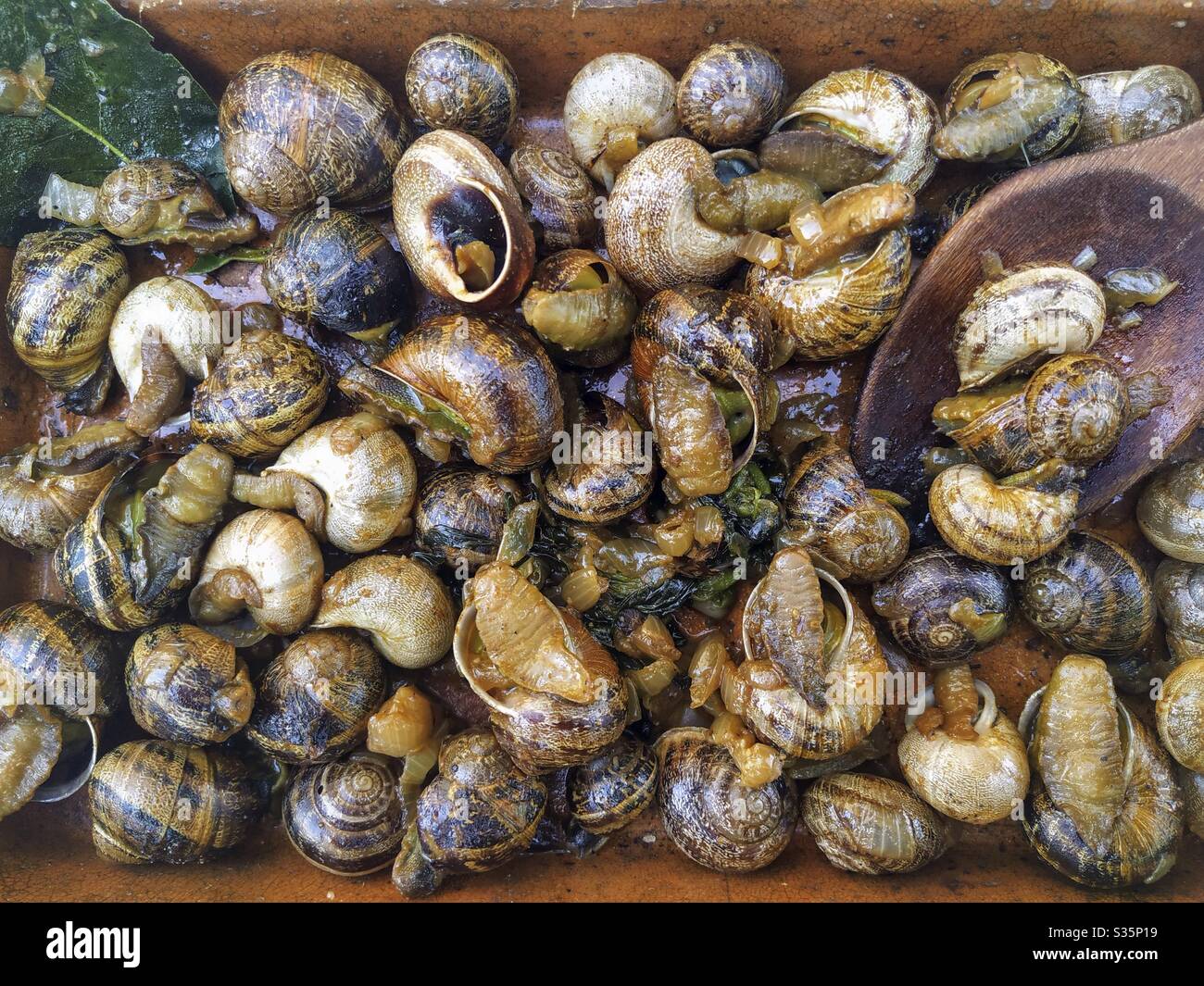 French snails hires stock photography and images Alamy