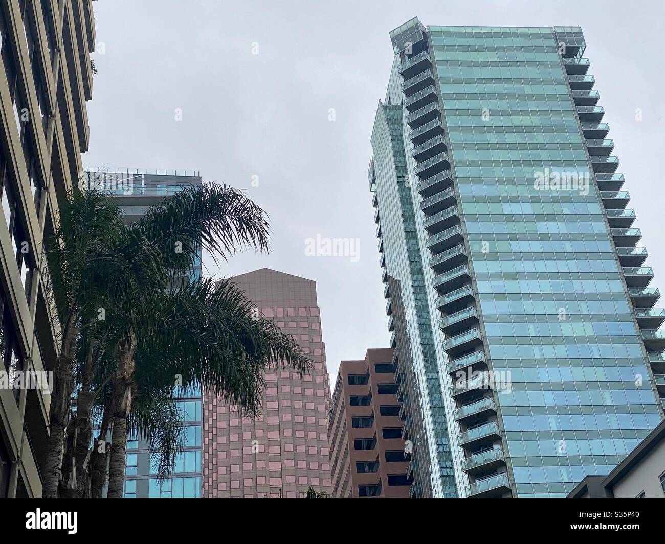 LOS ANGELES, CA, APR 2020: looking up at tall apartment buildings and offices in Financial District of Downtown. Overcast day, palm tree in foreground. - Smartphone Captured Stock Image