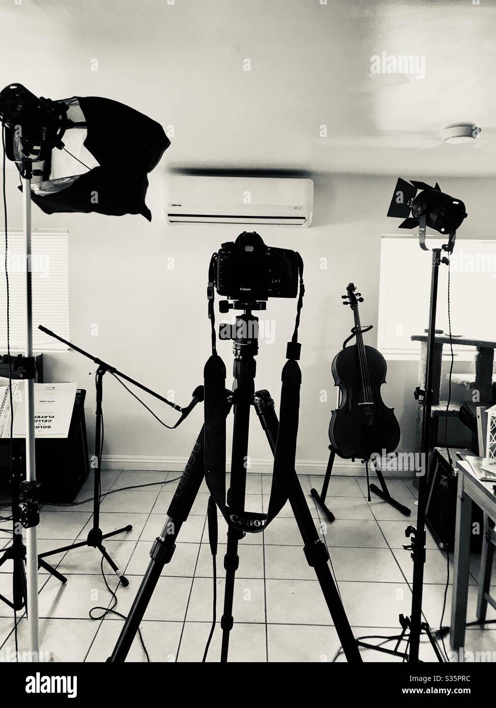 Self tape home studio with lighting, a DSLR and a cello, black and white photo. Stock Photo