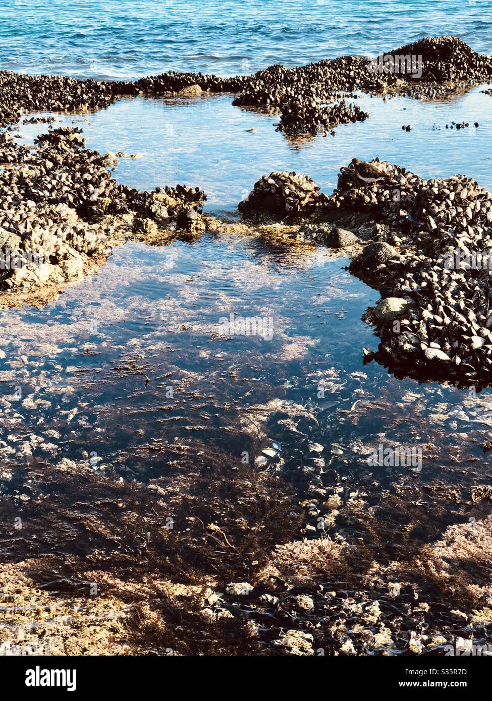 Low tide in a Southern California ocean cove. Stock Photo
